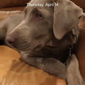 Meet your Posher, Theresa